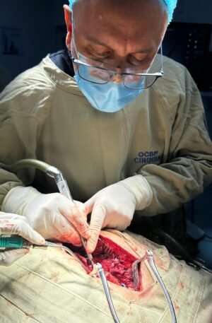 Craneotomo Neumatico